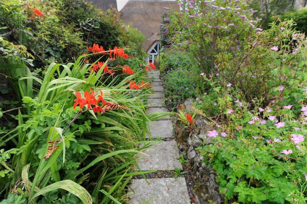Villa The Nest Lyme Regis Exterior foto